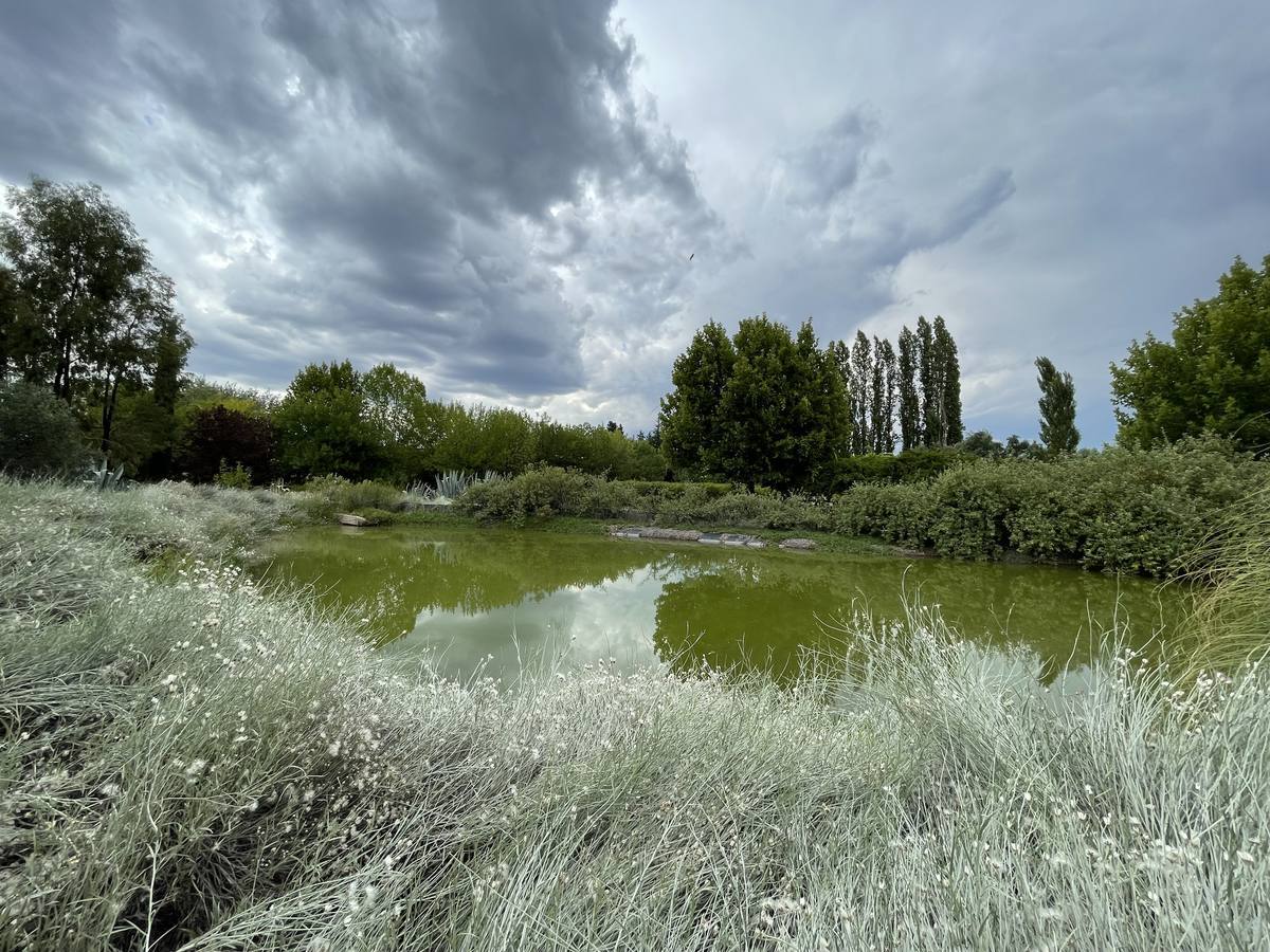 Villa del Parco garden